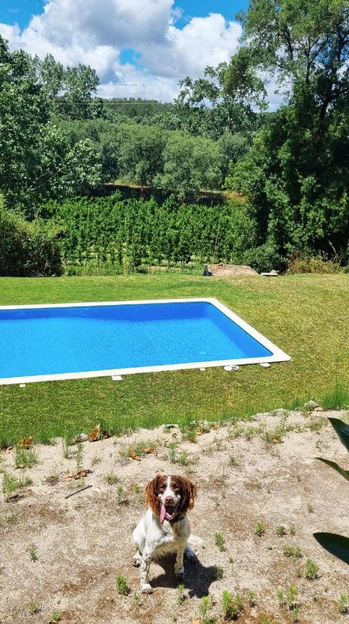 Quinta Do Sanguinhal Βίλα Rio Maior Εξωτερικό φωτογραφία