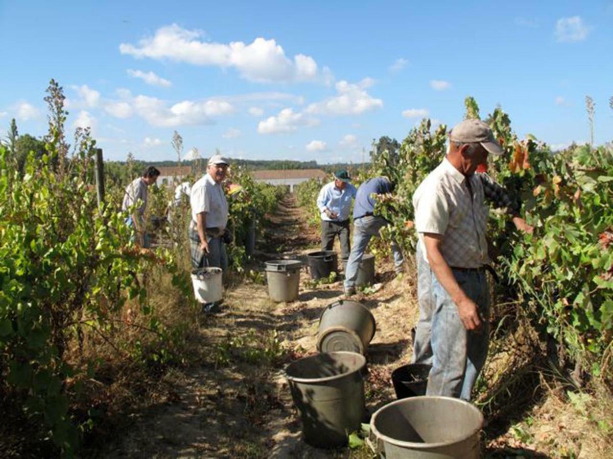 Quinta Do Sanguinhal Βίλα Rio Maior Εξωτερικό φωτογραφία