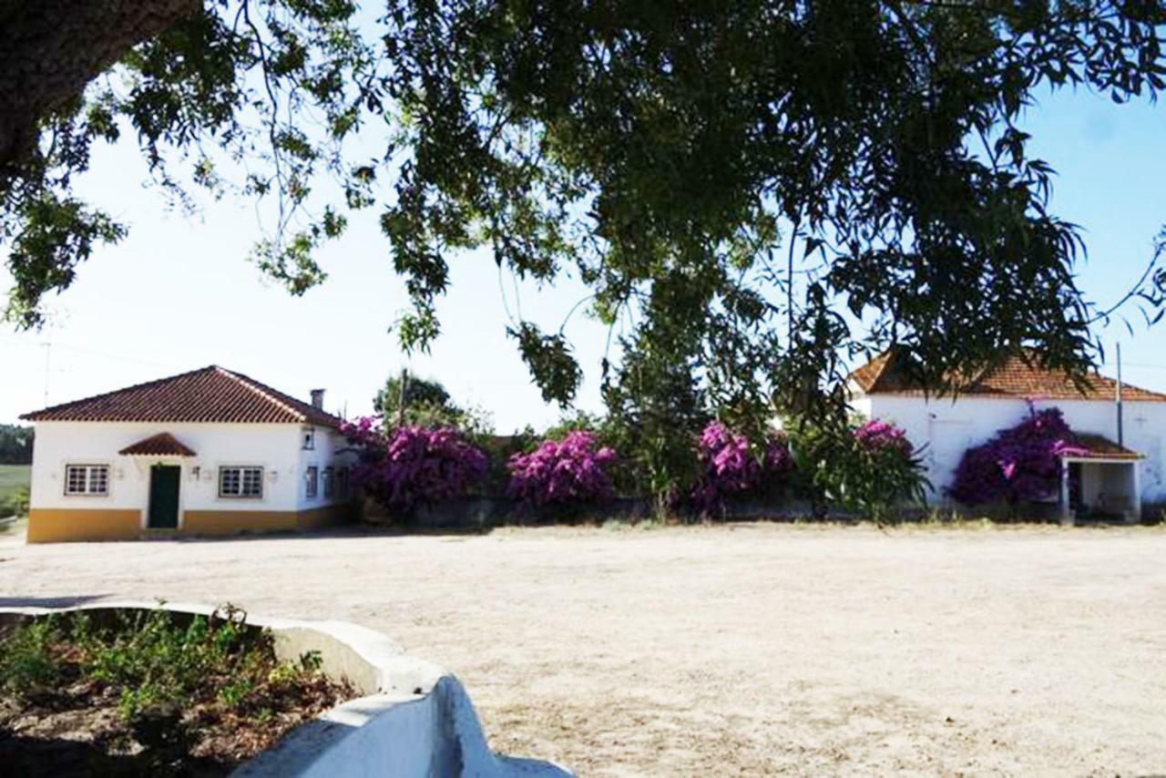 Quinta Do Sanguinhal Βίλα Rio Maior Εξωτερικό φωτογραφία