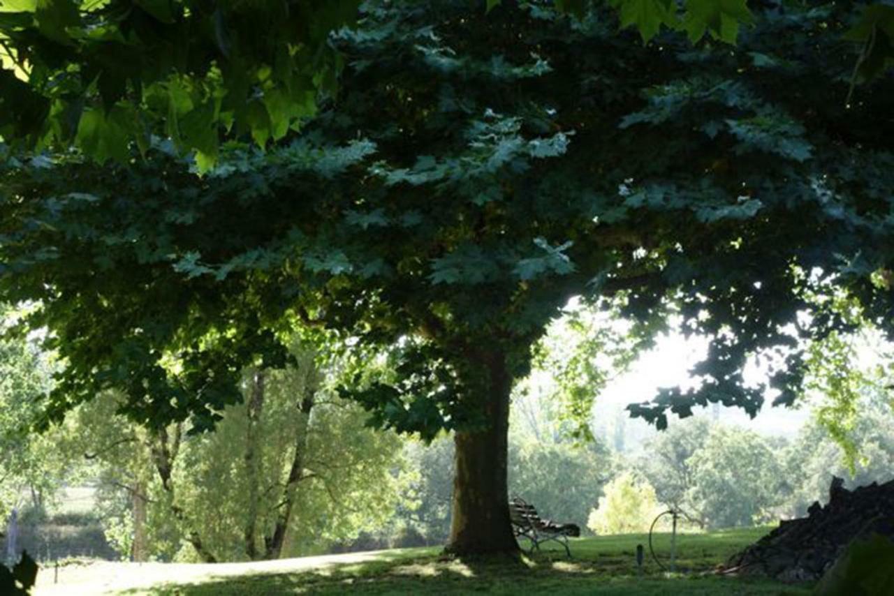 Quinta Do Sanguinhal Βίλα Rio Maior Εξωτερικό φωτογραφία