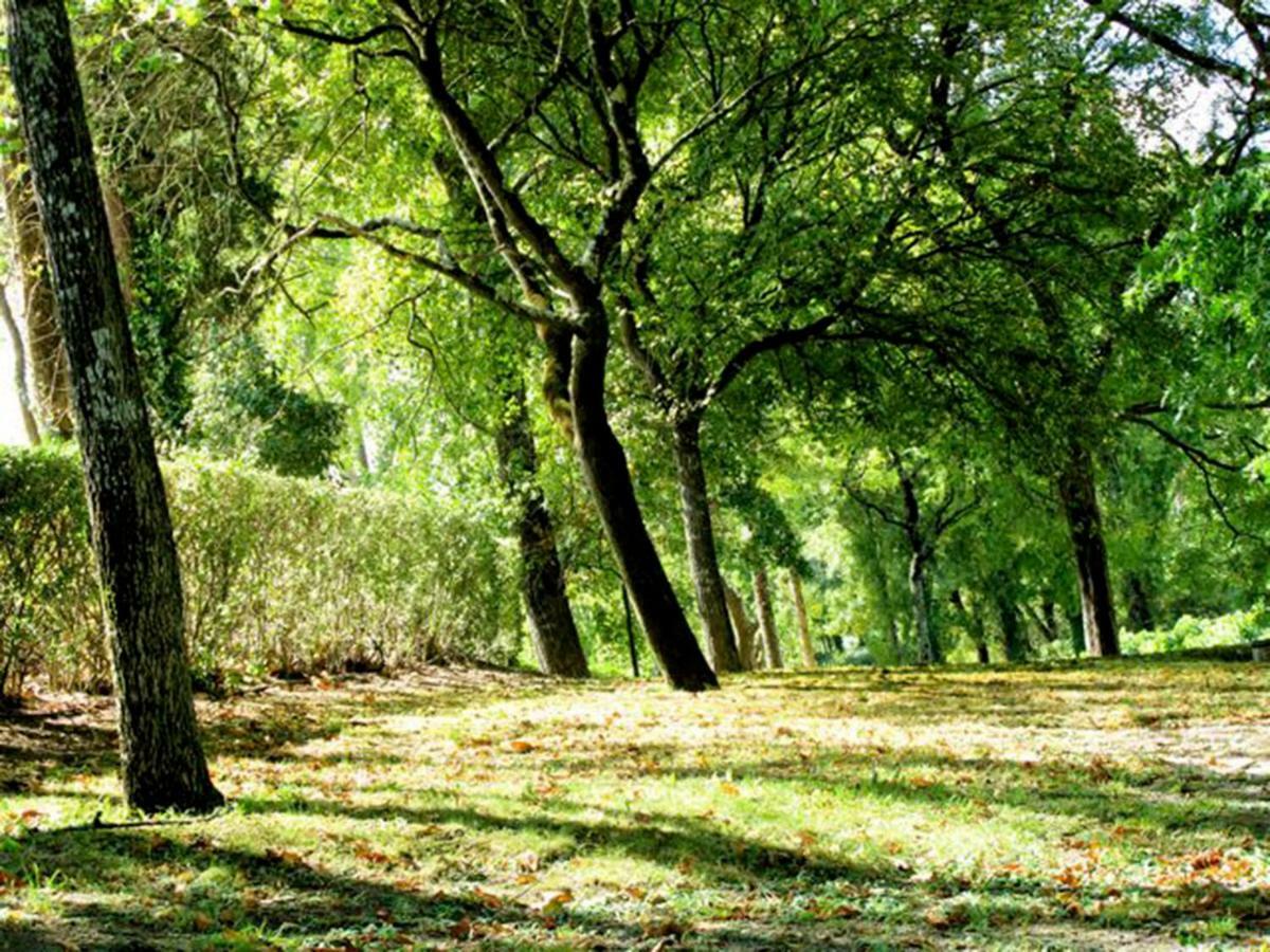 Quinta Do Sanguinhal Βίλα Rio Maior Εξωτερικό φωτογραφία