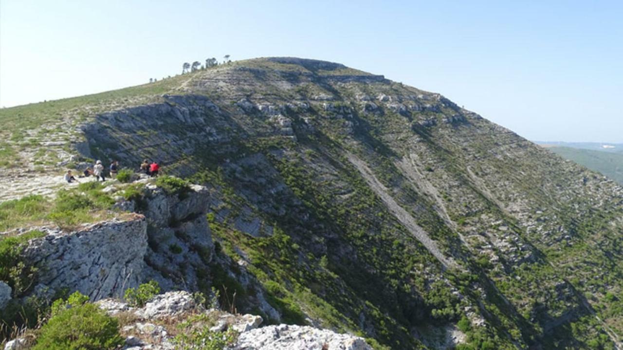 Quinta Do Sanguinhal Βίλα Rio Maior Εξωτερικό φωτογραφία